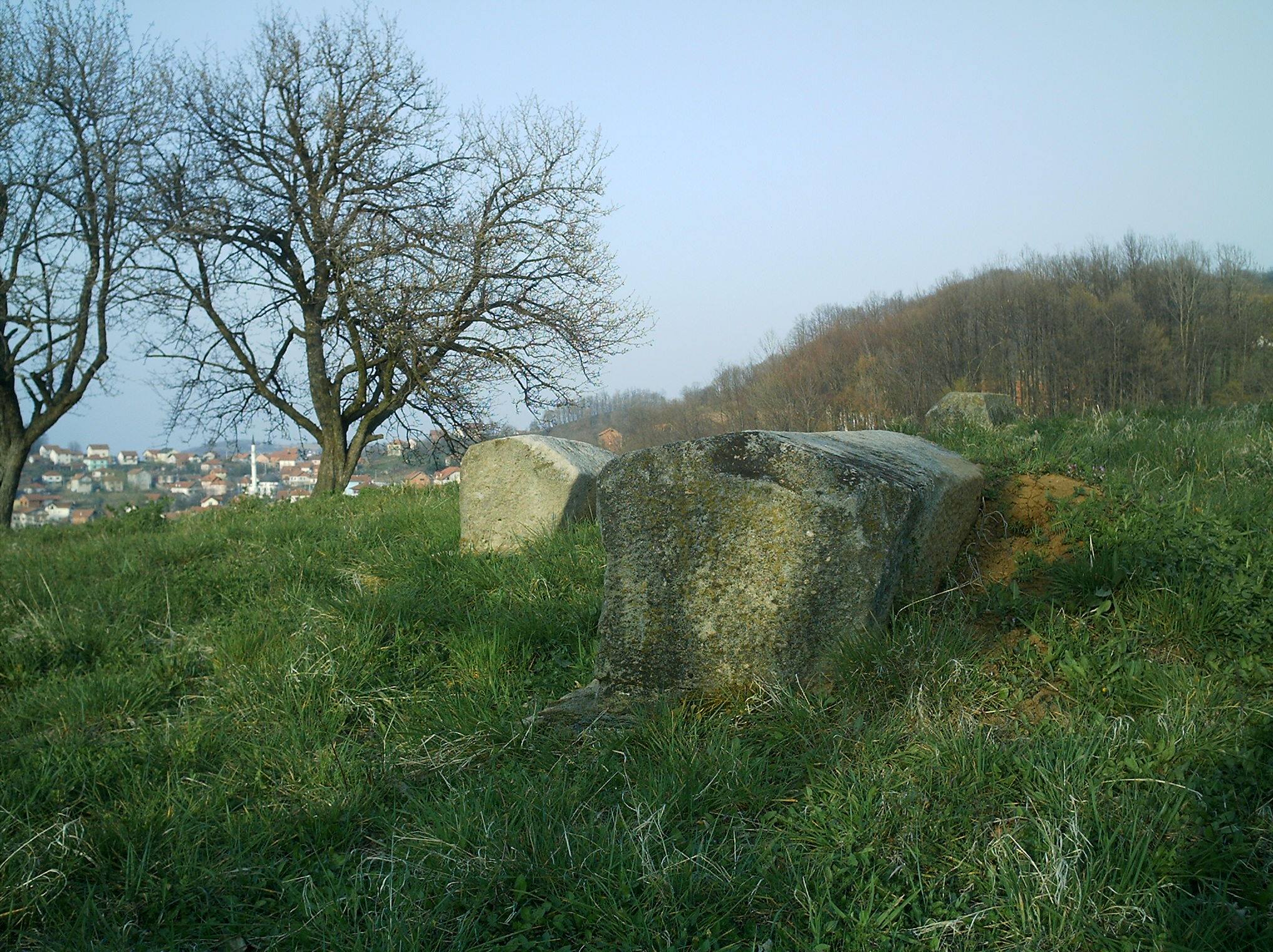 stecci2 1