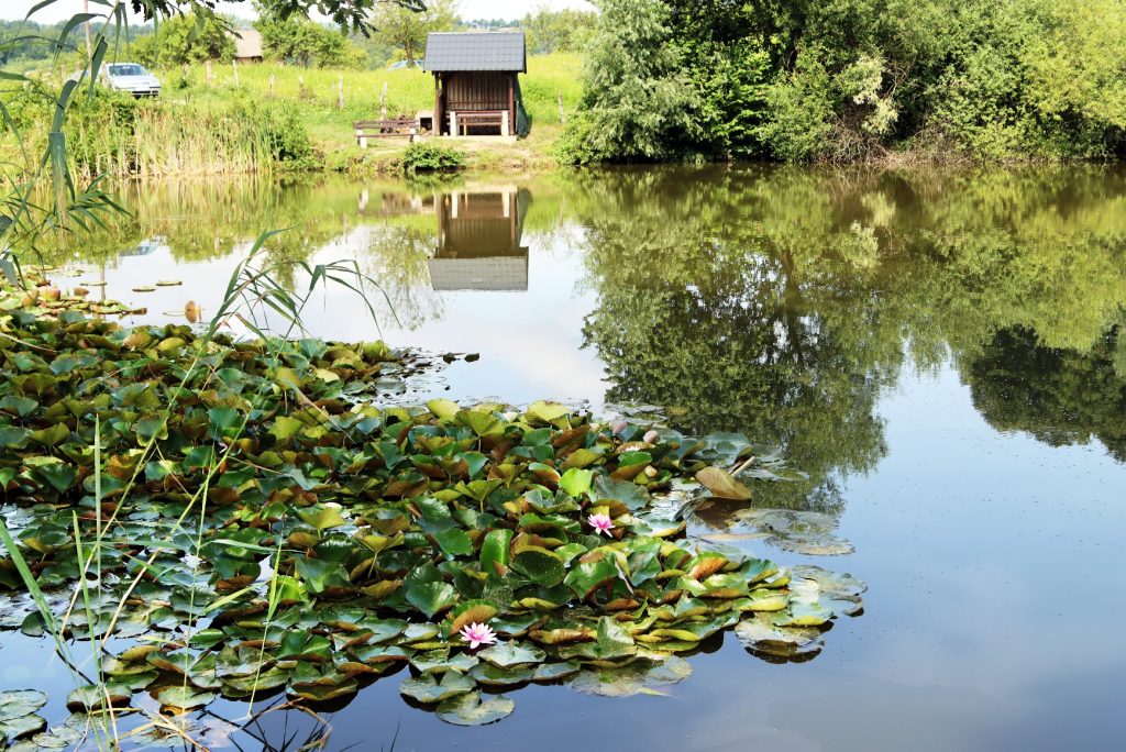Humačko jezero 2 Jezero Humci 5